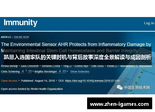 凯恩入选国家队的关键时机与背后故事深度全景解读与成因剖析 凯恩入选国家队的关键时机与背后故事深度全景解读与成因剖析