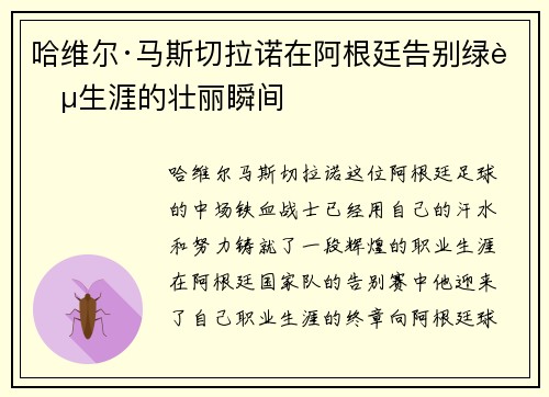 哈维尔·马斯切拉诺在阿根廷告别绿茵生涯的壮丽瞬间